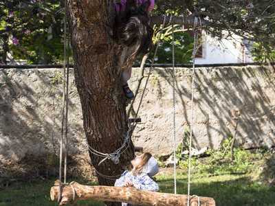 Mentre parliamo con Angelo avvistiamo la piccola Sara, che con un guizzo felino sale su un albero davanti allo sguardo sopreso dell'amichetta Chiara